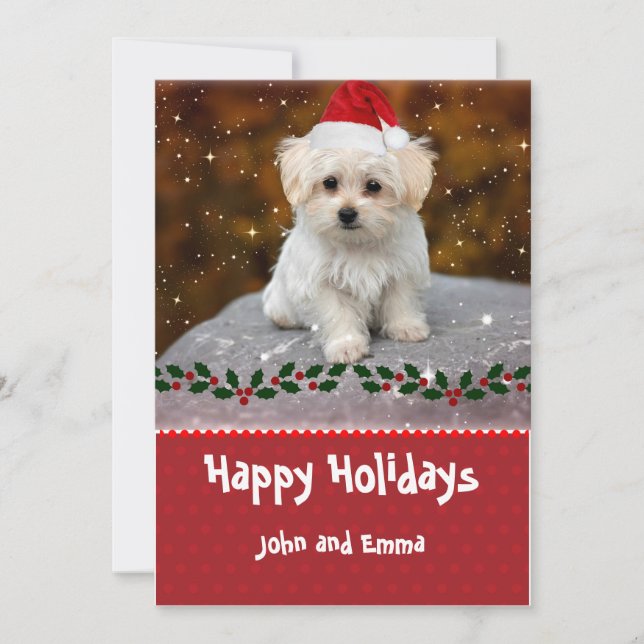 Adorable Maltese Puppy Template Holiday Card (Front)