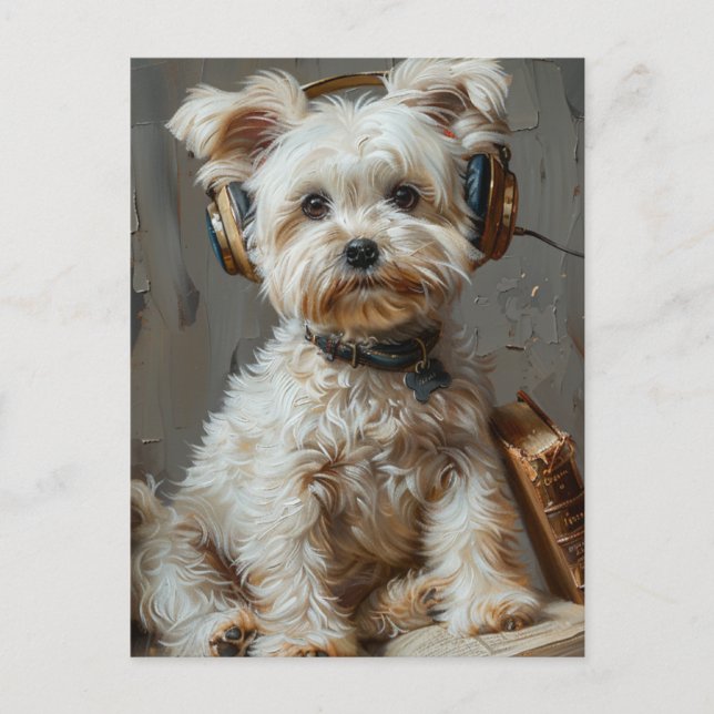 Adorable Maltese Reading and Listening to Music Postcard (Front)