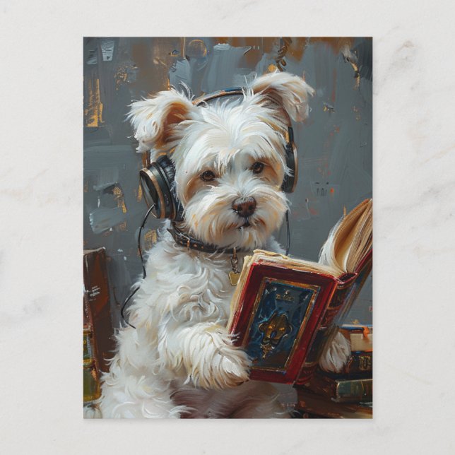Adorable Maltese Reading and Listening to Music Postcard (Front)