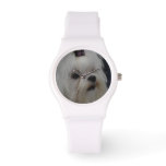 Adorable Maltese Watch