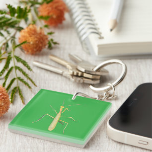 Adorable Mantis Keychain