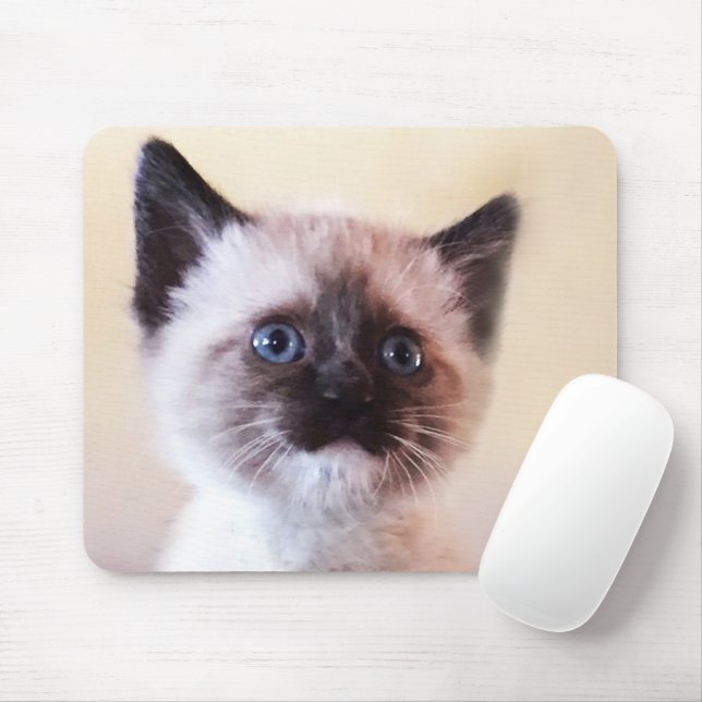 Adorable Masked Blue Eyed Siamese Kitten Close-Up Mouse Pad (With Mouse)