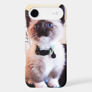 Adorable Masked Blue Eyed Siamese Kitten Photo iPhone 17 Air Case
