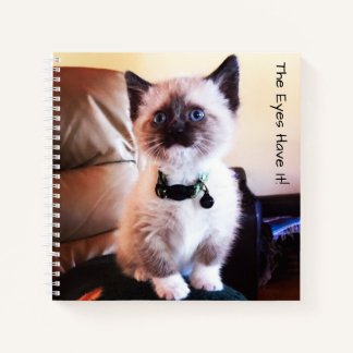Adorable Masked Blue Eyed Siamese Kitten Photo Notebook