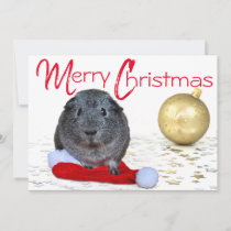 Adorable Merry Christmas Guinea Pig Gold Ornament Holiday Card