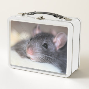 Adorable Metal Lunch Box