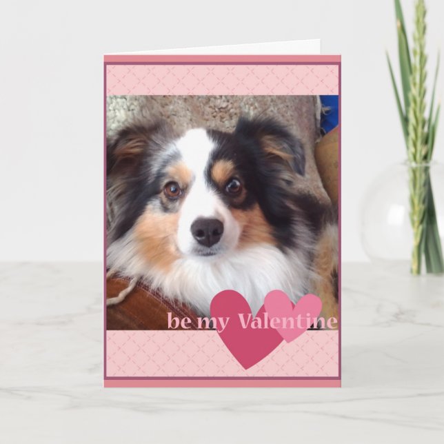 adorable MinI Australian Shepherd Valentines Card (Front)
