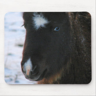 Adorable Mini Horse Filly Mouse Pad