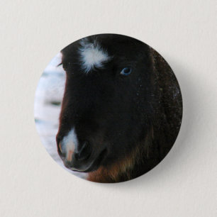 Adorable Mini Horse Filly Pinback Button