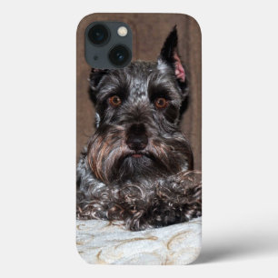 Adorable Mini Schnauzer Portrait on iPad Case