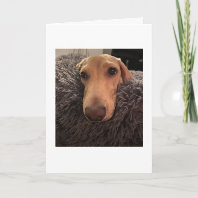 Adorable Miss You Dachshund Card (Front)