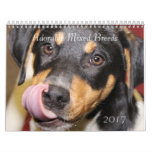 Adorable Mixed Breed Dogs 2017 Calendar at Zazzle