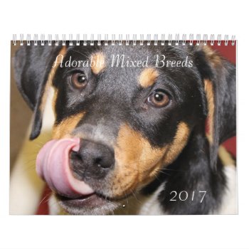 Adorable Mixed Breed Dogs 2017 Calendar by JLBIMAGES at Zazzle