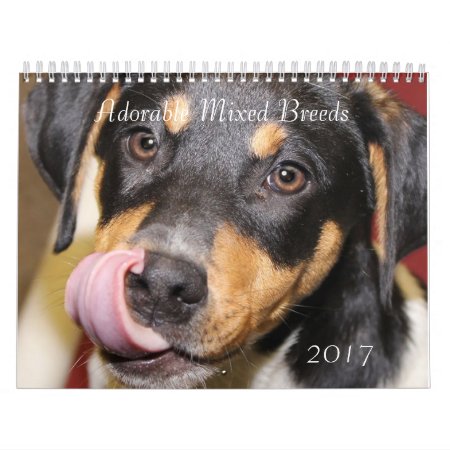 Adorable Mixed Breed Dogs 2017 Calendar