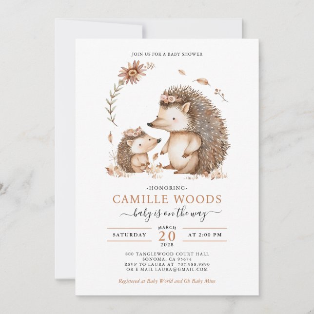Adorable Mom And Baby Hedgehog Baby Shower Invitation (Front)