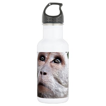 Adorable Monkey Stainless Steel Water Bottle by MehrFarbeImLeben at Zazzle