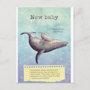 Adorable mother and baby whale. New baby card. Announcement Postcard