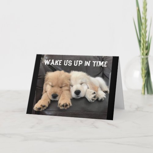 ADORABLE NAPPING PUPS WISH YOU HAPPY THANKSGIVING CARD