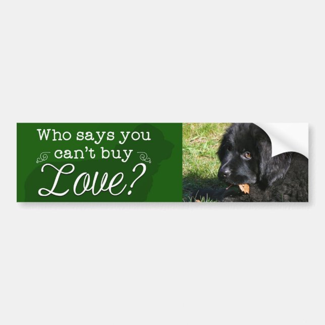 Adorable Newfie Bumper Sticker! Bumper Sticker (Front)