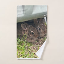 Adorable newly born bunnies