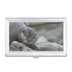 Adorable Otter Case For Business Cards