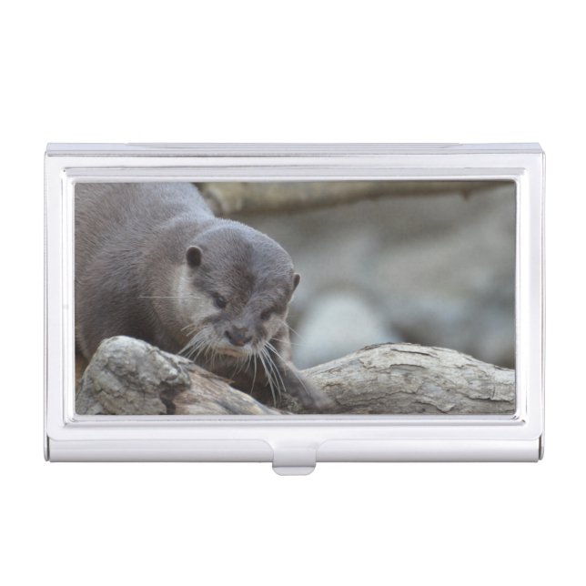 Adorable Otter Case For Business Cards (Front)