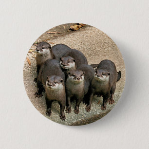 Adorable Otter Family Button