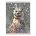 Adorable Otter on His Back Temporary Tattoos