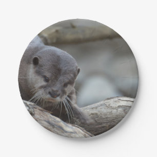 Adorable Otter Paper Plates