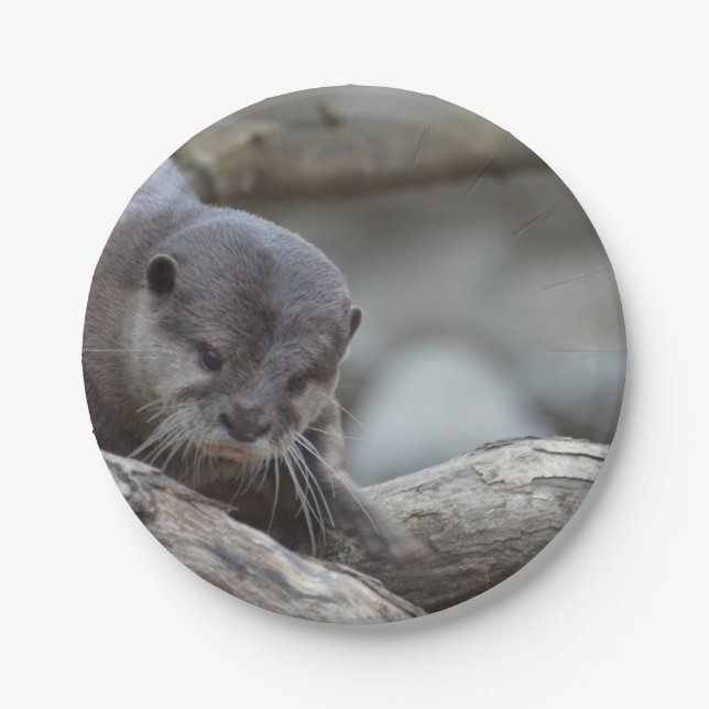 Adorable Otter Paper Plates (Front)