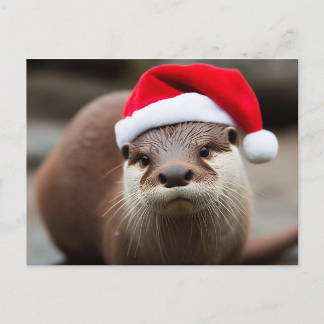 Adorable Otter Santa Hat Postcard (Front)
