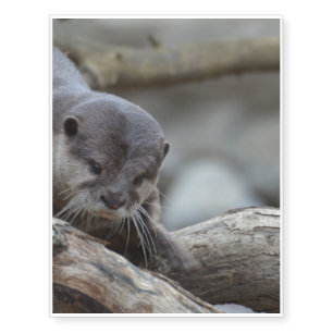 Adorable Otter Temporary Tattoos