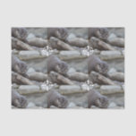 Adorable Otter Tissue Paper