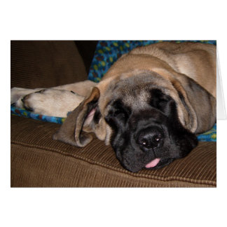 Adorable oversized pup cards