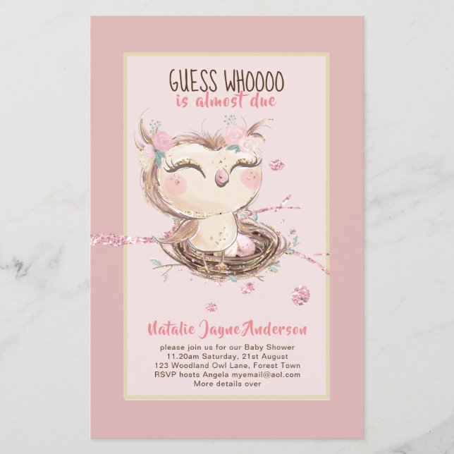 Adorable OWL Baby Shower Girls or Boys Invitation Flyer (Front)