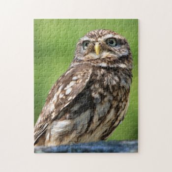 Adorable Owl Photo Jigsaw Puzzle by RiverJude at Zazzle