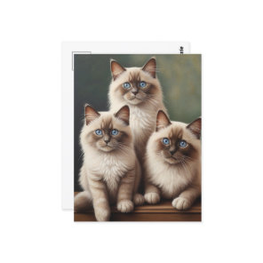 Adorable Pair of Ragdoll Kittens Sweet Cat Postcard