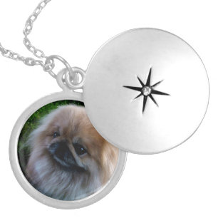 Adorable Pekingese Puppy Locket Necklace