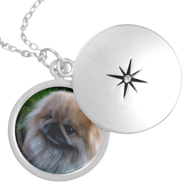 Adorable Pekingese Puppy Locket Necklace (Front)