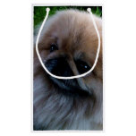 Adorable Pekingese Puppy Small Gift Bag