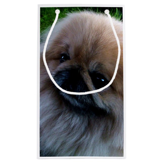 Adorable Pekingese Puppy Small Gift Bag (Back)