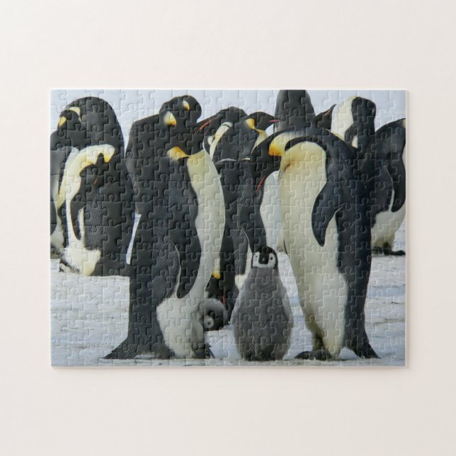 Adorable Penguin Family Arctic Wildlife Jigsaw Puzzle (Horizontal)