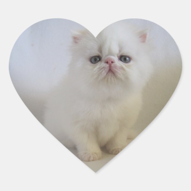 adorable persian heart stickers (Front)