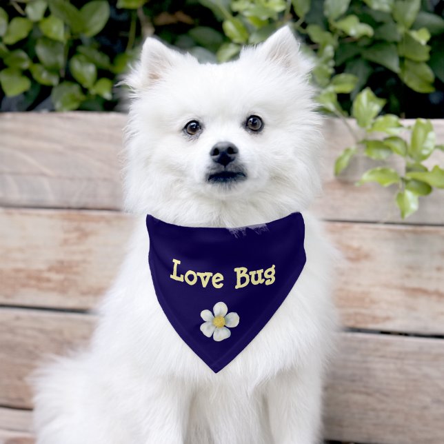 ADORABLE Personalized Yellow & White Flower Pet Bandana Collar (Dog)