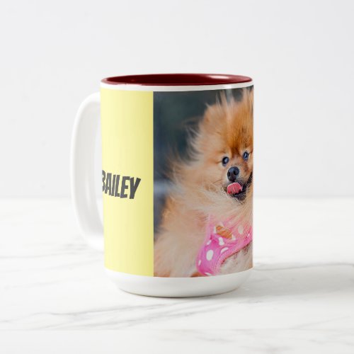 Adorable Pet Portrait Mugs