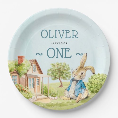 Adorable Peter Rabbit First Birthday Paper Plates