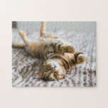 Adorable Pets 11" x 14" Jigsaw Puzzle<br><div class="desc">Pets come in all shapes and sizes. On the one hand, you could have a Great Dane or an Irish wolfhound, and on the other, you could have a guinea pig or goldfish. But whether your kitten is the king of the jungle or a pocket-sized pet, they'll be absolutely chuffed...</div>
