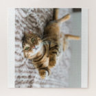 Adorable Pets 11" x 14"