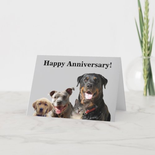 Adorable Pets Anniversary Card