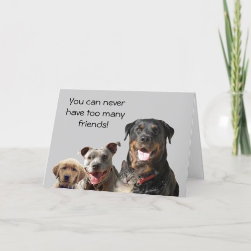 Adorable Pets Friendship Card